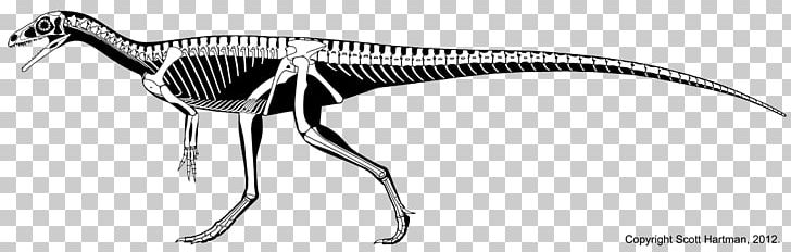 Eoraptor Lunensis Velociraptor Eodromaeus Herrerasaurus Chindesaurus PNG, Clipart, Acrocanthosaurus, Apply, Archosaur, Basal, Beak Free PNG Download