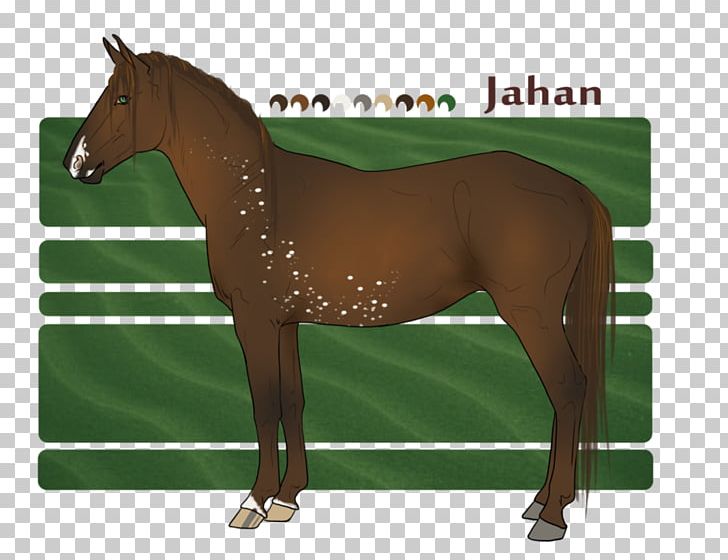 Halter Mane Stallion Mustang Mare PNG, Clipart, Bridle, Colt, Grass, Halter, Horse Free PNG Download