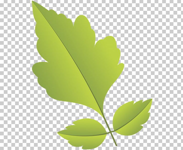 Primavera Green Leaf PNG, Clipart, Download, Green, Green Leaf, Leaf, Painting Free PNG Download