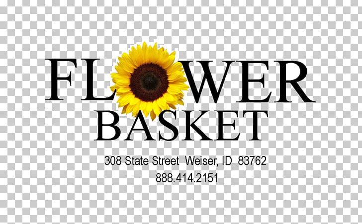 The Flower Basket Floristry Sister Family PNG, Clipart, Basket Flower, Brand, Child, Cut Flowers, Daughter Free PNG Download