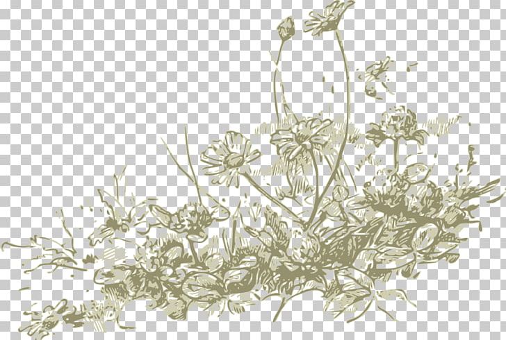 Wildflower Drawing PNG, Clipart, Black And White, Branch, Chrysanthemum, Computer Icons, Drawing Free PNG Download