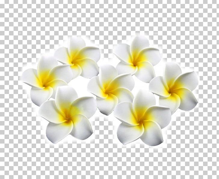 Artificial Flower Plumeria Rubra Clothing Accessories Barrette PNG, Clipart, Artificial Flower, Barrette, Clothing Accessories, Cut Flowers, Feestversiering Free PNG Download