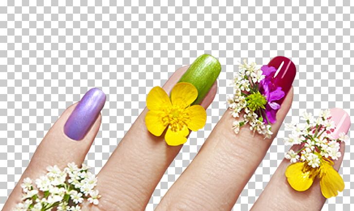 Artificial Nails Manicure Nail Art PNG, Clipart, Artificial Nails, Beauty, Cosmetics, Cosmetology, Encapsulated Postscript Free PNG Download