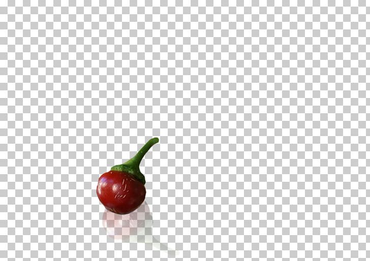 Chili Pepper Food Pimiento Peperoncino Bell Pepper PNG, Clipart, Bell Pepper, Bell Peppers And Chili Peppers, Capsicum, Cherry, Chili Pepper Free PNG Download