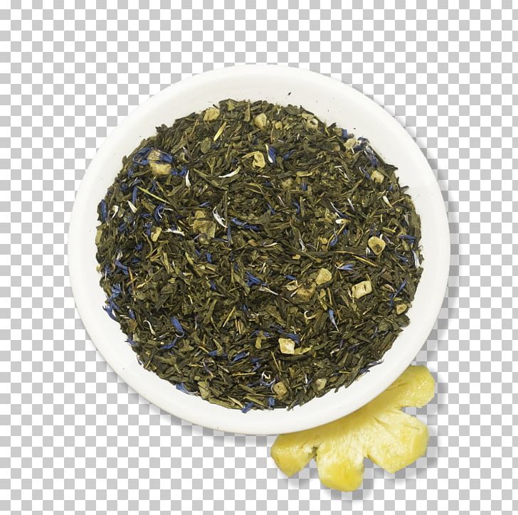 Sencha Nilgiri Tea Oolong Darjeeling Tea Earl Grey Tea PNG, Clipart,  Free PNG Download
