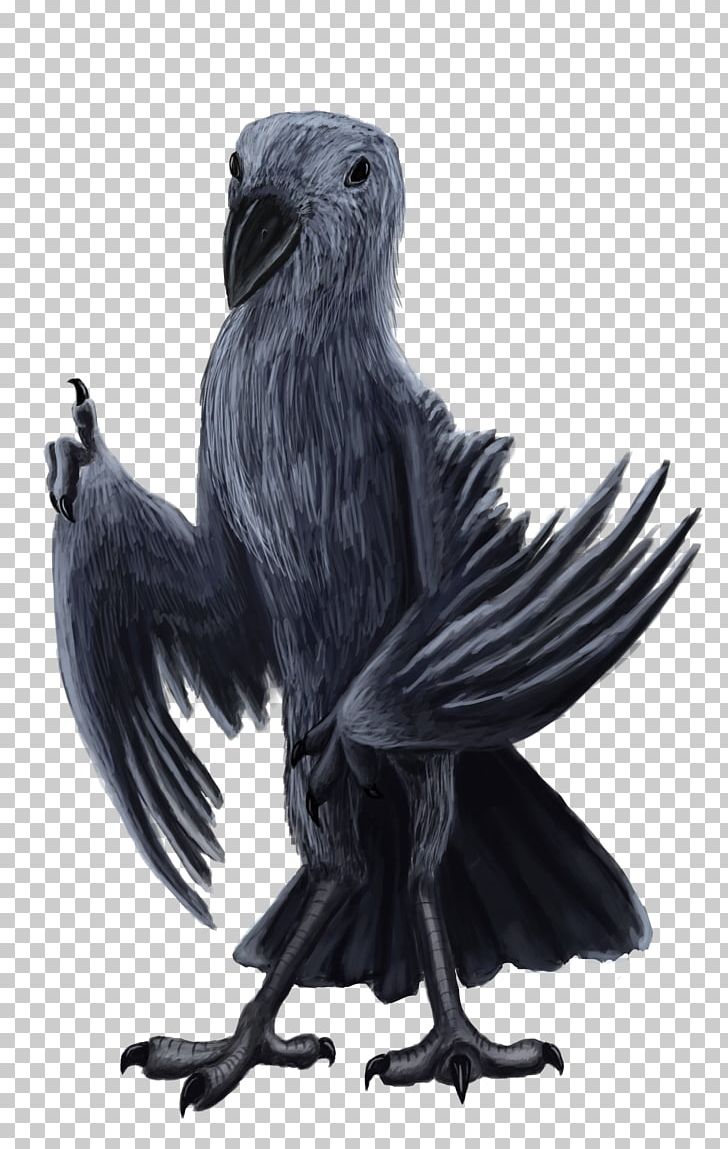 American Crow Common Raven Eagle Vulture Beak PNG, Clipart, American Crow, Animals, Aven, Beak, Bird Free PNG Download