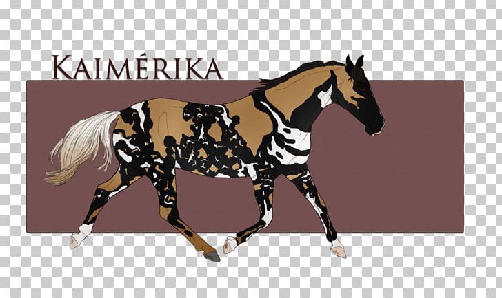Stallion Mustang Pony Mare Bridle PNG, Clipart, Bridle, Colt, Colts Manufacturing Company, Dog Harness, Halter Free PNG Download