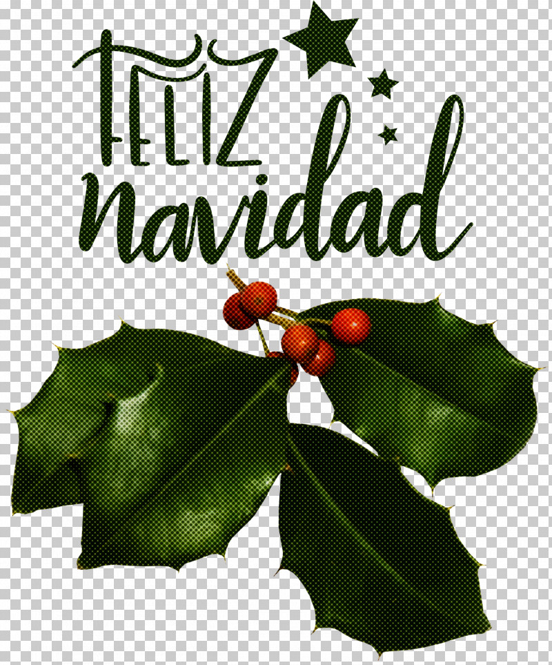 Feliz Navidad Merry Christmas PNG, Clipart, Aquifoliales, Biology, Christmas Day, Christmas Ornament, Christmas Ornament M Free PNG Download