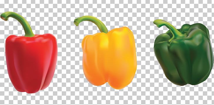 Bell Pepper Chili Pepper Vegetable Food PNG, Clipart, Bell Pepper, Bell Peppers And Chili Peppers, Capsaicin, Capsicum, Cayenne Pepper Free PNG Download