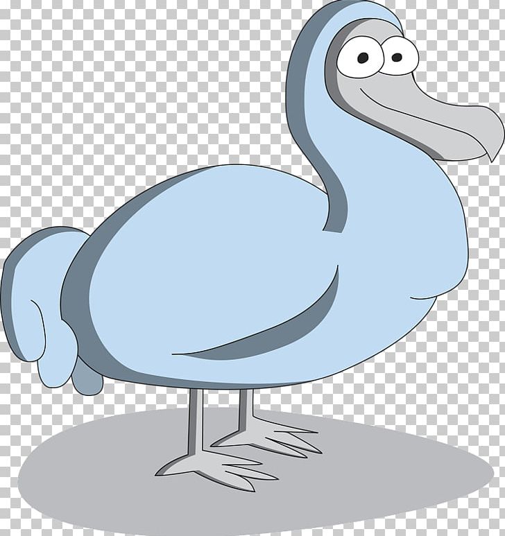 Duck Flightless Bird Crane Seabird PNG, Clipart, Animals, Beak, Bird, Crane, Crane Like Bird Free PNG Download