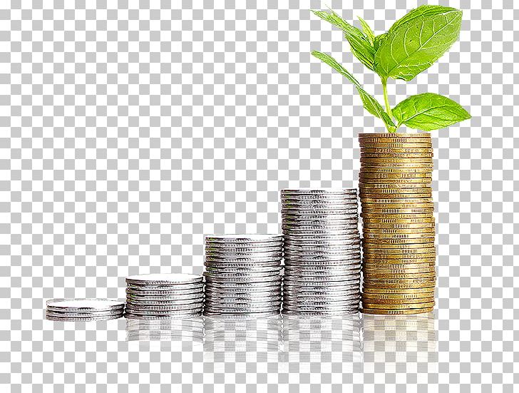Investment Investor Term Stock Short PNG, Clipart, Finance, Flowerpot, Funding, Gold Coin, Invest Free PNG Download