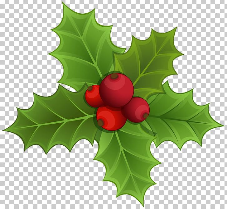 Mistletoe Christmas PNG, Clipart, Aquifoliaceae, Aquifoliales, Berry, Blog, Candy Cane Free PNG Download