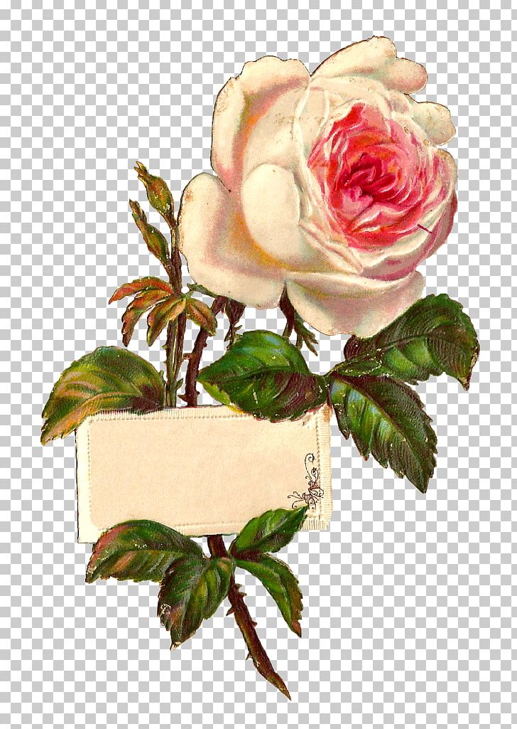 Rose White PNG, Clipart, Artificial Flower, Black And White, Digi, Digital Image, Floral Design Free PNG Download