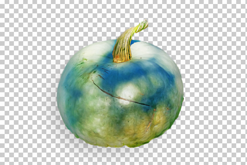 Squash Winter Squash Fruit Apple PNG, Clipart, Apple, Fruit, Squash, Winter Squash Free PNG Download