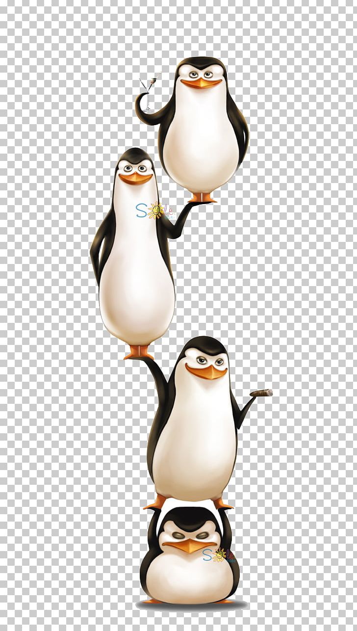 Penguin Skipper Kowalski Madagascar DreamWorks Animation PNG, Clipart, Animals, Animated Film, Art, Bird, Coffee Cup Free PNG Download