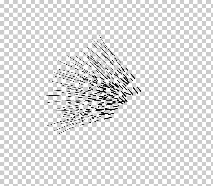 Ueno Zoo Crested Porcupine Planet PNG, Clipart, Black, Black And White, Black M, Computer Font, Crested Porcupine Free PNG Download