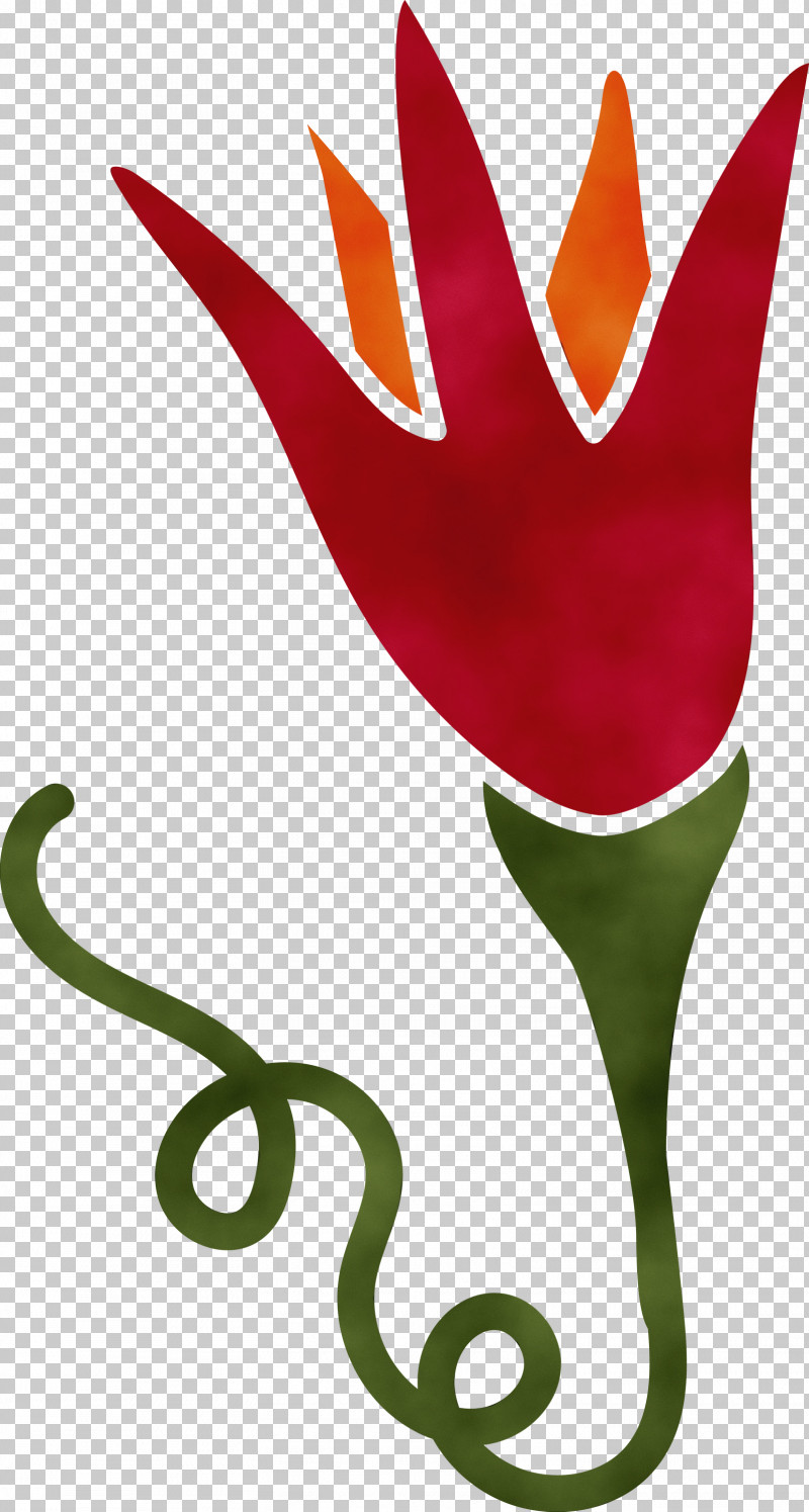 Plant Stem Tulip Leaf Petal Character PNG, Clipart, Biology, Character, Character Created By, Leaf, Paint Free PNG Download