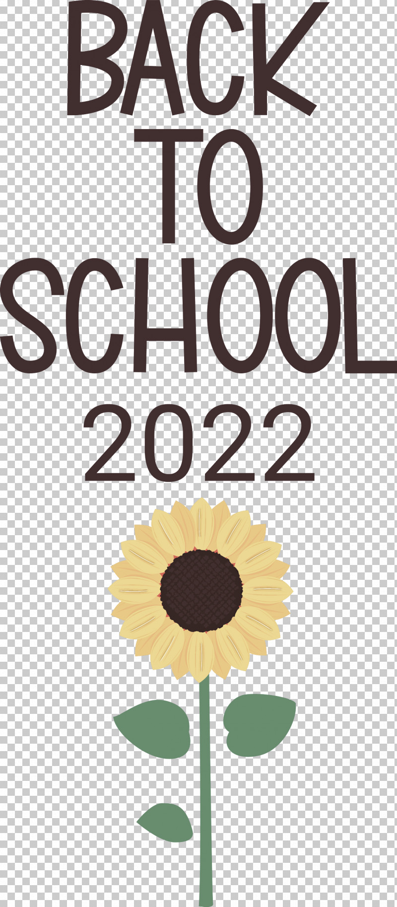 Back To School 2022 PNG, Clipart, Biology, Cut Flowers, Floral Design, Flower, Happiness Free PNG Download