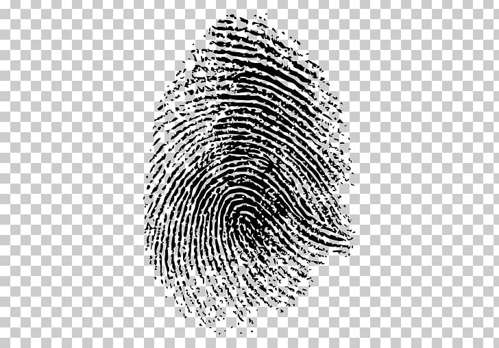 Fingerprint Thumb Stock Photography PNG, Clipart, Black And White, Circle, Computer Icons, Finger, Finger Print Free PNG Download