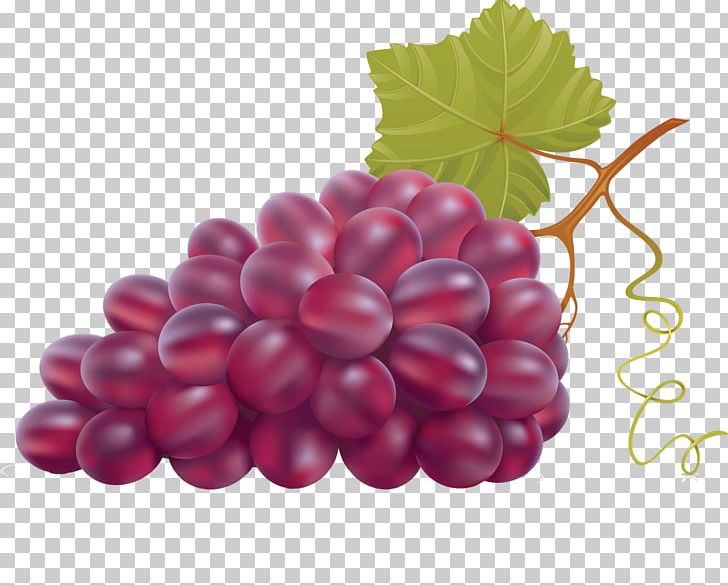 Grape Leaves Wine Grapevines PNG, Clipart, Food, Fruit, Fruit Nut, Frutti Di Bosco, Grape Free PNG Download