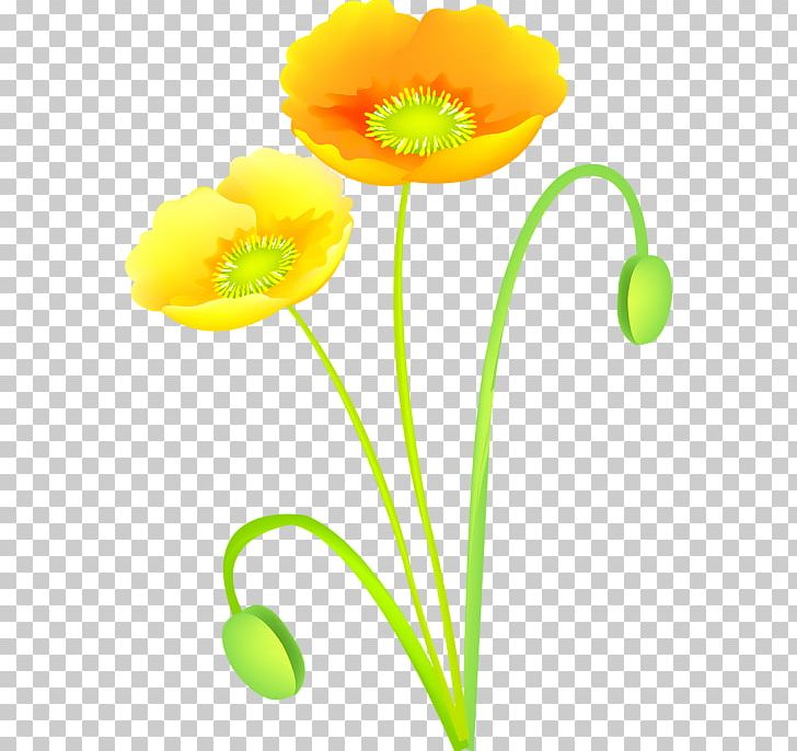 Cut Flowers PNG, Clipart, Blog, Cut Flowers, Flower, Flowering Plant, Nature Free PNG Download