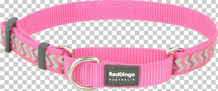 Dingo Dog Collar Canaan Dog Norwegian Lundehund Martingale PNG, Clipart, Canaan Dog, Clothing Accessories, Collar, Dingo, Dog Free PNG Download