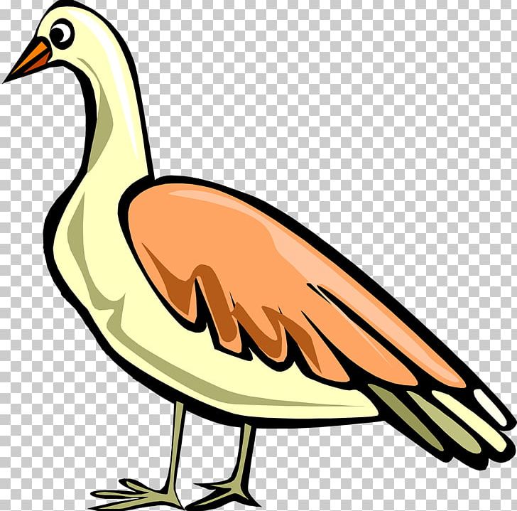 Duck Goose Water Bird Anatidae PNG, Clipart, Anatidae, Animal, Animals, Artwork, Beak Free PNG Download