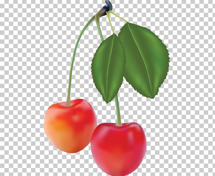 Fruit Photorealism PNG, Clipart, Apple, Art, Cherry, Cherry Clipart, Encapsulated Postscript Free PNG Download