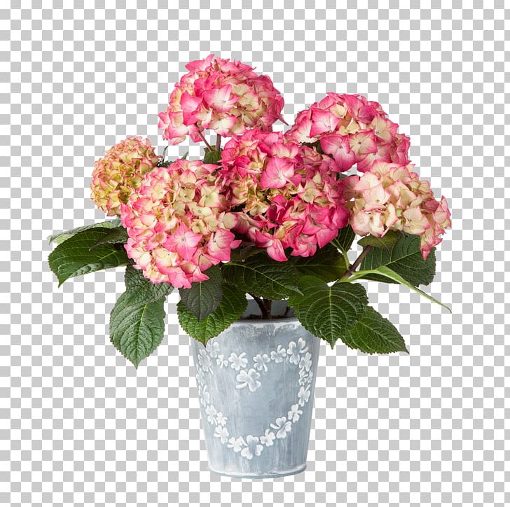 Interflora Norway SA Flower Bouquet Gift PNG, Clipart,  Free PNG Download