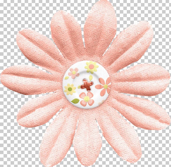 Nail Hand Model Close-up Transvaal Daisy PNG, Clipart, Closeup, Finger, Flower, Gerbera, Hand Free PNG Download