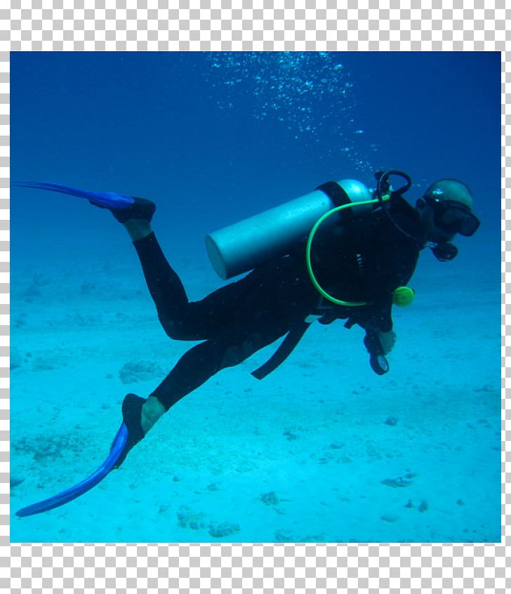 Scuba Diving Underwater Diving Scuba Set Diving Equipment PNG, Clipart, Marine Biology, Others, Recreation, Saturation Diving, Scuba Free PNG Download