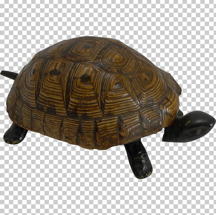 Box Turtle Reptile Tortoise Animal PNG, Clipart, Animal, Animals, Box Turtle, Emydidae, Reptile Free PNG Download