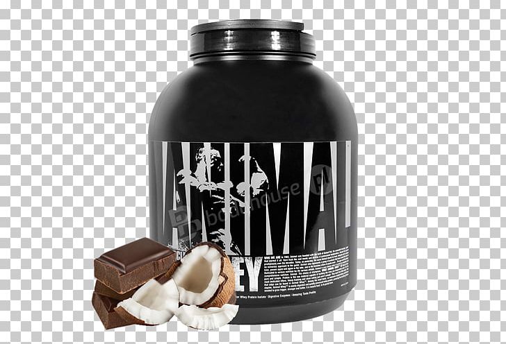 Dietary Supplement Whey Protein Isolate PNG, Clipart, Bodybuilding Supplement, Chocolate, Coconut Candy, Dietary Supplement, Digestion Free PNG Download