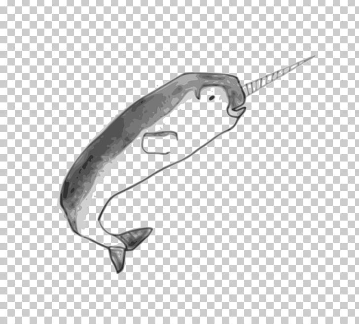 Narwhal Toothed Whale PNG, Clipart, Angle, Animals, Balina, Black And White, Child Of Light Free PNG Download