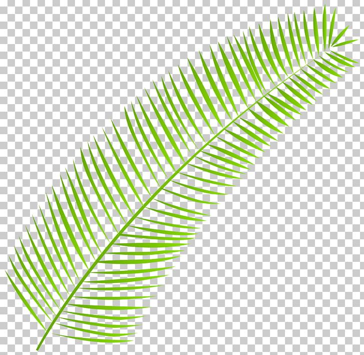 Palm Branch Palm-leaf Manuscript PNG, Clipart, Arecaceae, Cdr, Computer Icons, Encapsulated Postscript, Leaf Free PNG Download