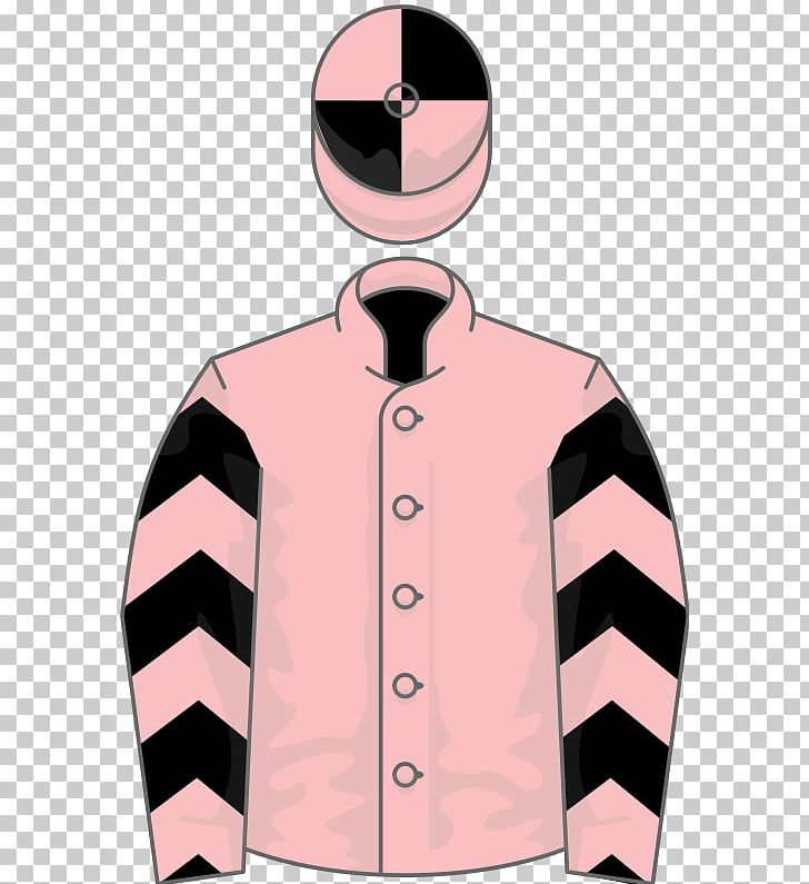 Thoroughbred Sadler's Wells Galileo Horse Racing Epsom Oaks PNG, Clipart,  Free PNG Download