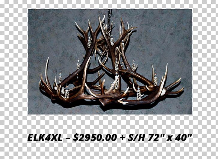 Antler Elk White-tailed Deer Moose PNG, Clipart, Animal, Animal Product, Animals, Antler, Antlers By Cody Free PNG Download