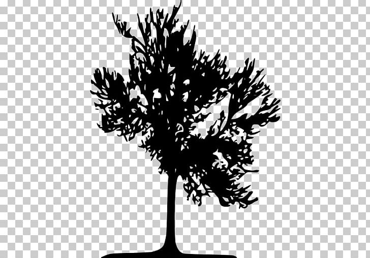 Computer Icons Tree Silhouette NA-11 (Kohistan-cum-Lower Kohistan-cum-Kolai Palas Kohistan) Twig PNG, Clipart, Black, Black And White, Branch, Computer Icons, Download Free PNG Download