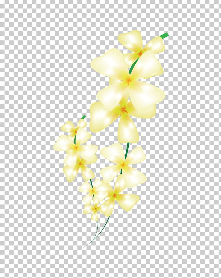 Floral Design Cut Flowers Flower Bouquet Moth Orchids PNG, Clipart, Cut Flowers, Flaat Recoleta Plaza, Floral Design, Floristry, Flower Free PNG Download