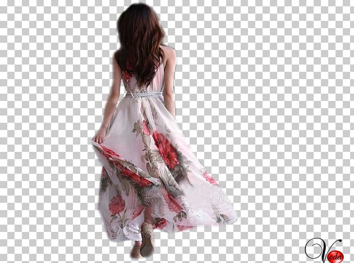 Party Dress Chiffon Clothing Flower PNG, Clipart, Beatiful, Chiffon, Clothing, Costume, Dress Free PNG Download