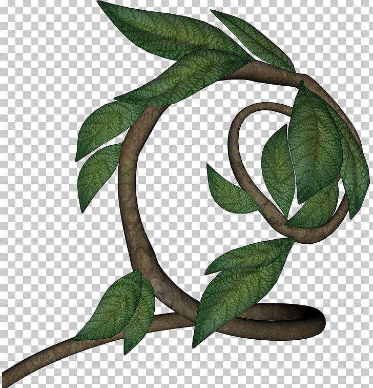 Rattan Drawing Leaf Watercolor Painting PNG, Clipart, Animaatio, Animated Film, Branch, Cane, Cartoon Free PNG Download