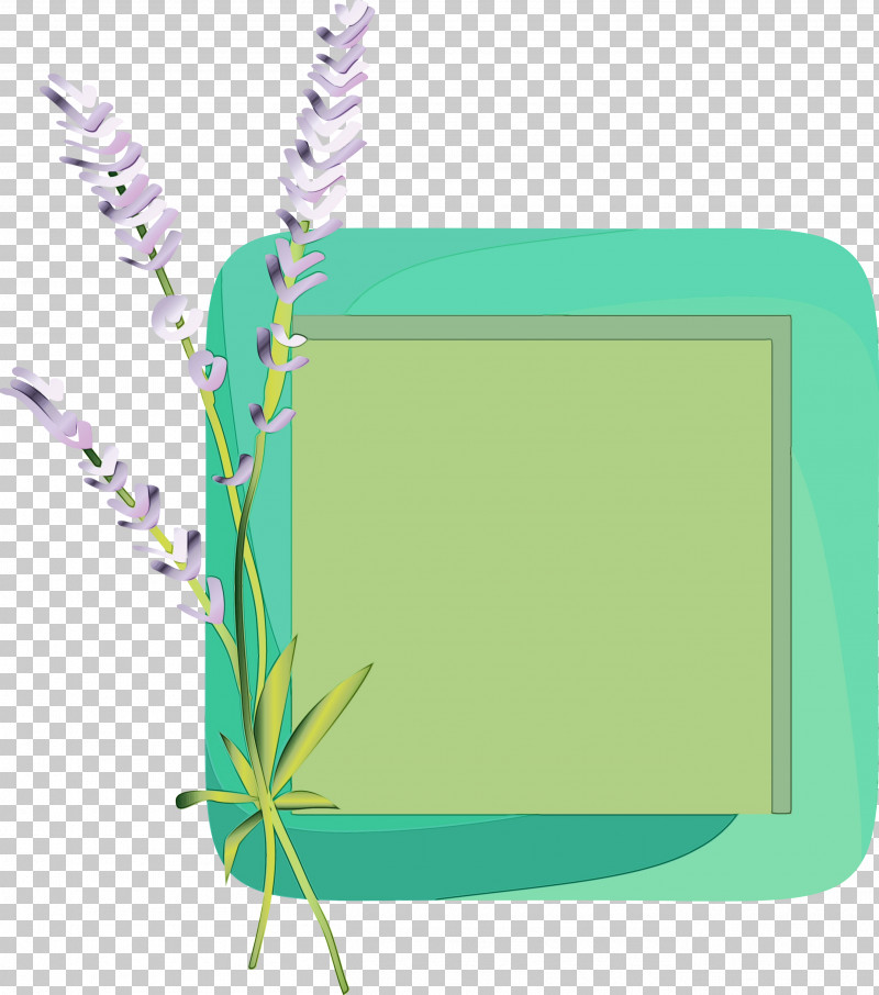 Lavender PNG, Clipart, Biology, Flower Frame, Flower Photo Frame, Grasses, Green Free PNG Download