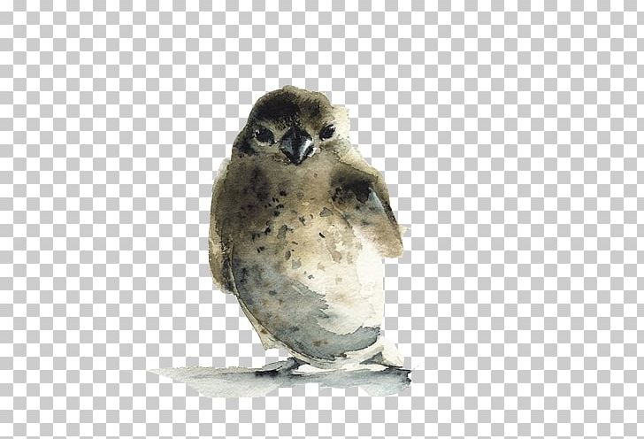 Bird Watercolor Painting Printmaking Drawing PNG, Clipart, Animals, Art, Beak, Bird, Birds Free PNG Download