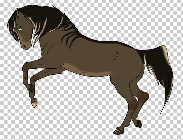 Mane Foal Stallion Pony Mare PNG, Clipart, English Riding, Equestrian, Equestrian Sport, Fictional Character, Foal Free PNG Download