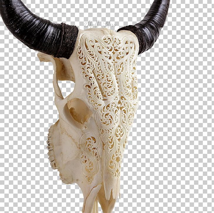 Texas Longhorn Skull XL Horns Bull PNG, Clipart, Barbed Wire, Blowing Horn, Bone, Bull, Cart Free PNG Download