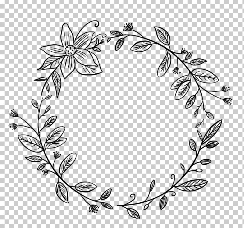 Leaf Plant Ornament PNG, Clipart, Leaf, Ornament, Plant Free PNG Download