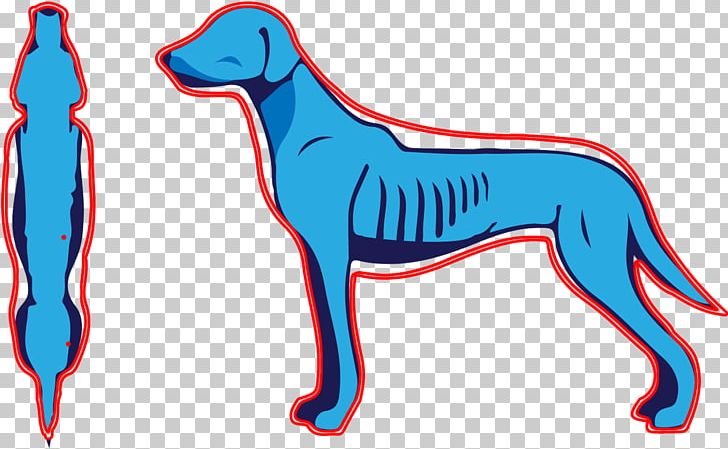 Dog Breed Shar Pei Puppy Cat Dingo PNG, Clipart, Animals, Blue, Breed, Carnivoran, Cat Free PNG Download