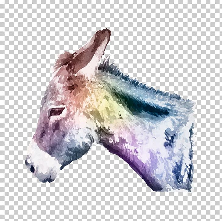 Donkey Watercolor Painting PNG, Clipart, Animal, Art, Artist, Donkey, Drawing Free PNG Download