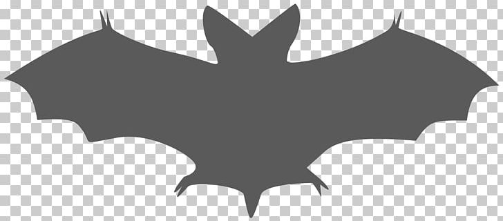 Bat PNG, Clipart, Animals, Bat, Bats Clipart, Black, Black And White Free PNG Download
