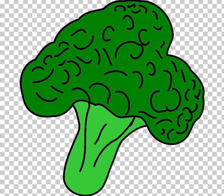 Broccoli Vegetable PNG, Clipart, Area, Artwork, Broccoli, Celery, Computer Icons Free PNG Download